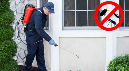 Bucak Gümüşkurt İlaçlama böcek ilaçlama ve haşere kontrolü — ilaclama-tr.com